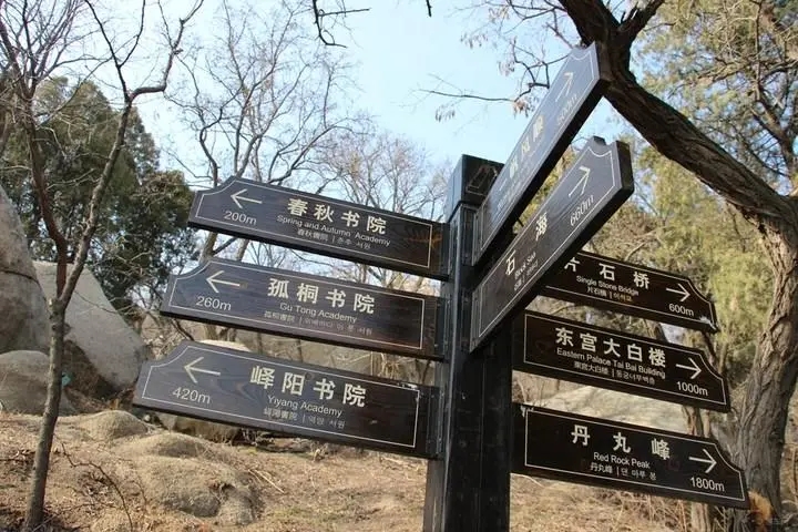成都廣告水蜜桃视频在线免费標識牌廣告製造的材料