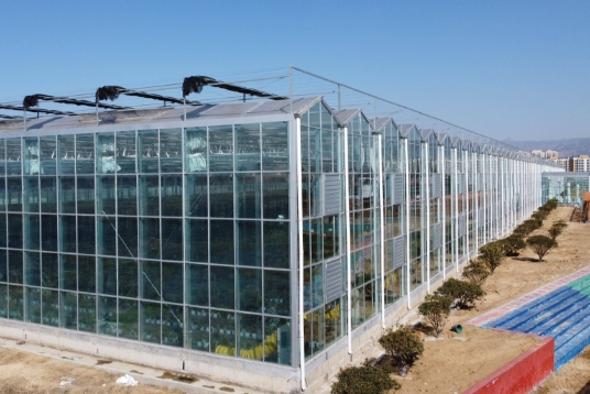 上海蜜桃AV免费进入入口塑膠水蜜桃视频在线免费陽光板可以上門安裝嗎？